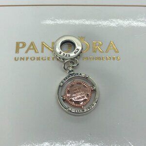 ✨🔥Pandora Club Compass Dangle Charm
